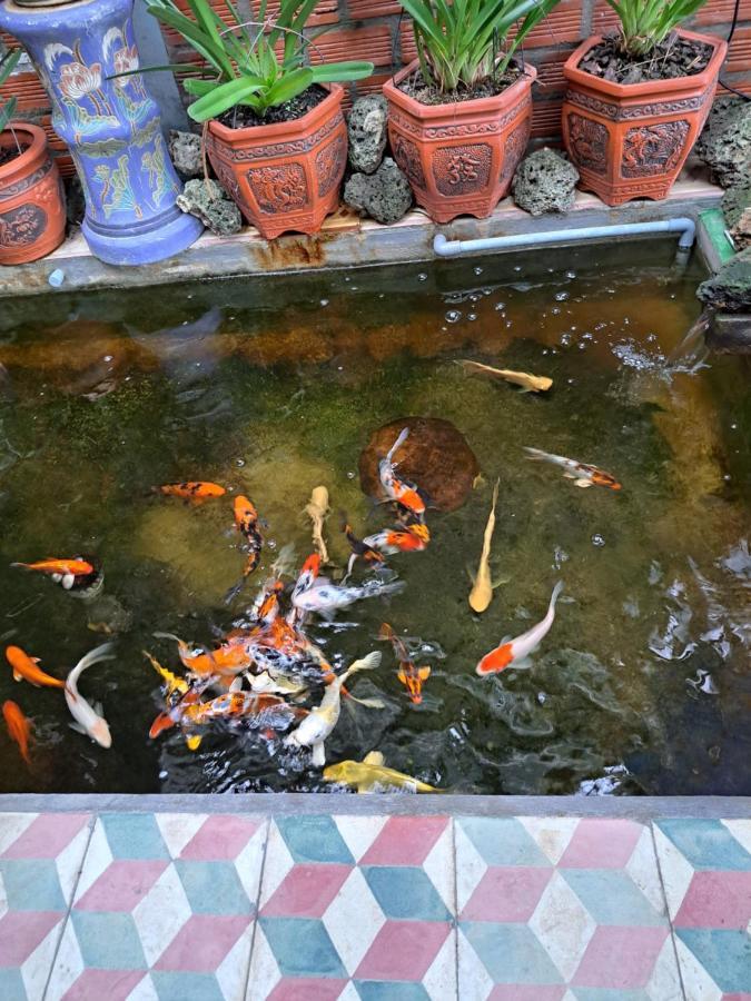Hoa Lan Motel & Homestay Giong Tu Dien Buitenkant foto